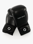 Equinox Boxing Gloves