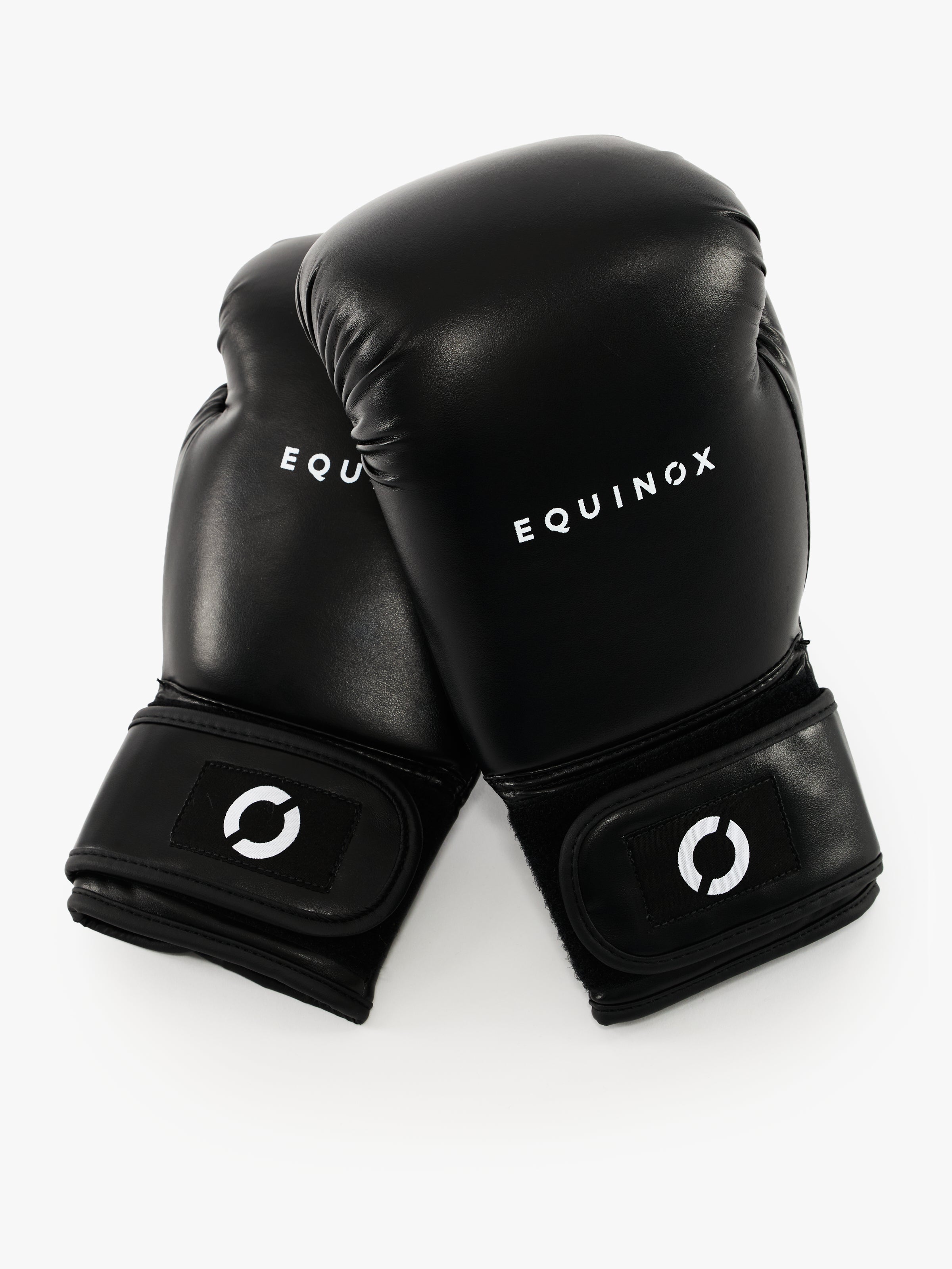 Equinox Boxing Gloves