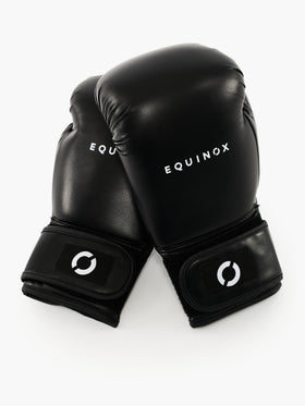 Equinox Boxing Gloves