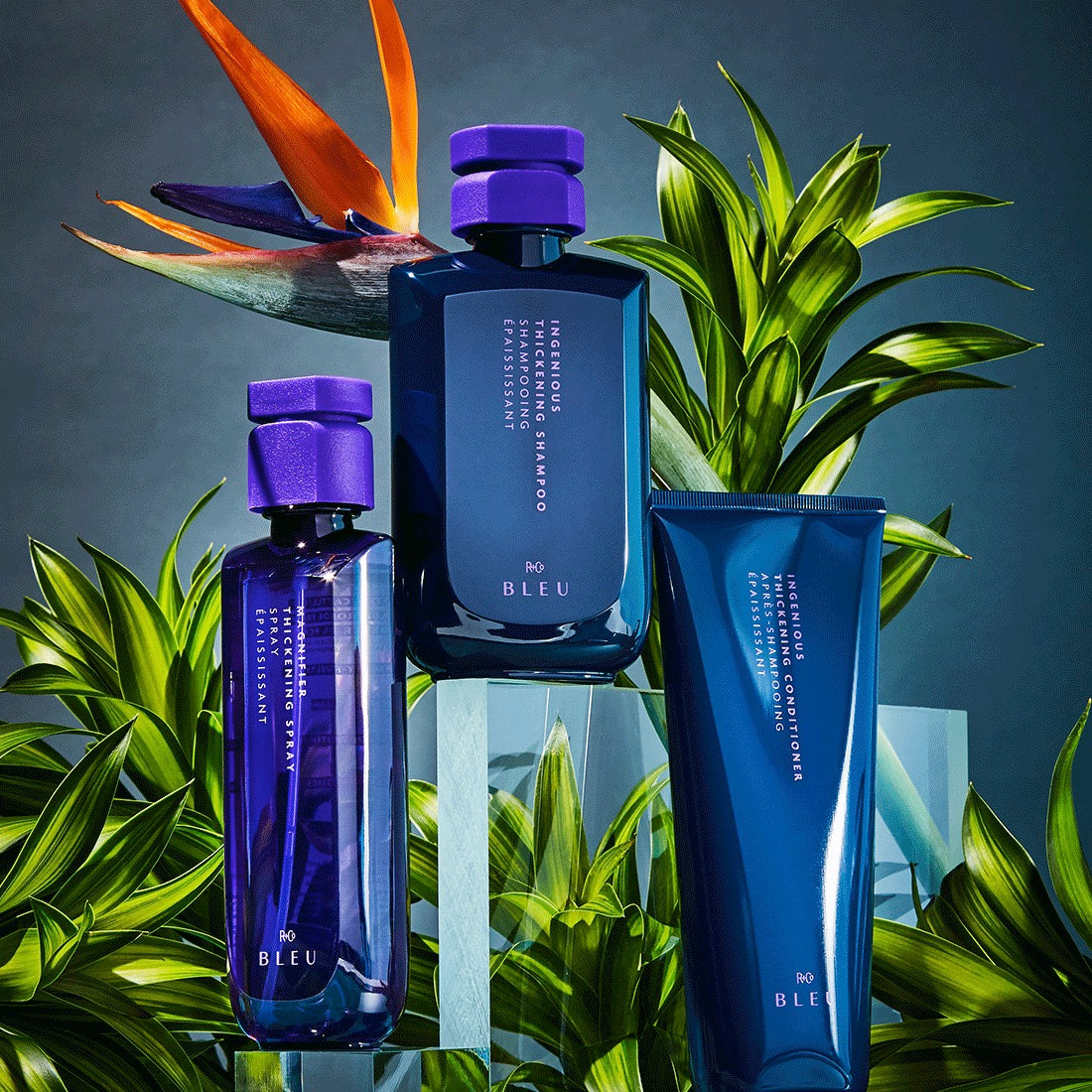 INGENIOUS THICKENING SHAMPOO